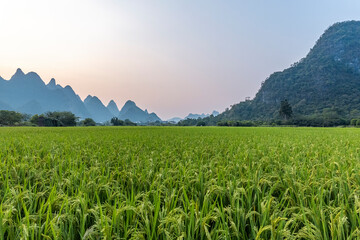世界八大奇迹排名